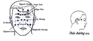 Huyệt trên mặt