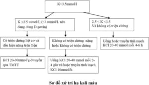 Hạ kali máu