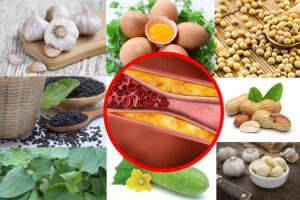 rối loạn mỡ máu theo đông y