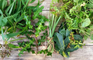 Thảo dược xông lá tinh dầu